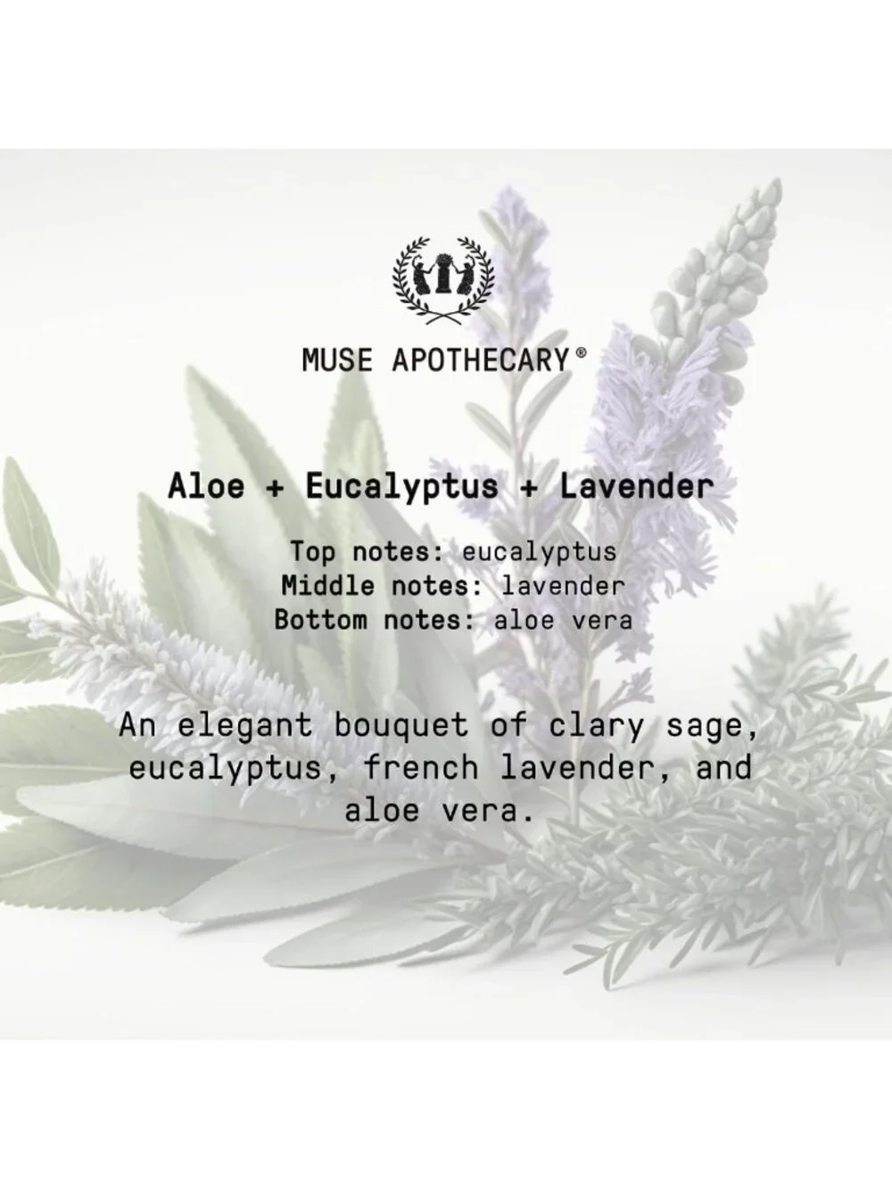 Aromatic Nourishing Hand Soap - Aloe, Eucalyptus & Lavender - 16 oz, 2 Pack